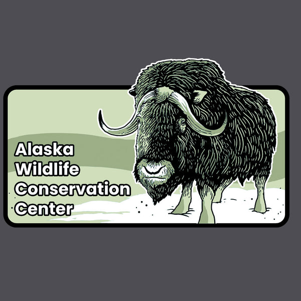 Alaska Wildlife Conservation Center - Midweight French Terry Pullover Hoody - Heavy Metal