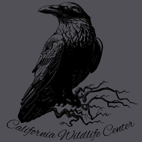 California Wildlife Center - Midweight French Terry Pullover Hoody - Heavy Metal