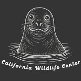 California Wildlife Center - Allmade® Unisex ECO-BLEND Hoodie Tee - Space Black