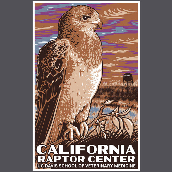 California Raptor Center - Midweight French Terry Pullover Hoody - Heavy Metal
