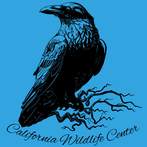California Wildlife Center - Youth - Turquoise