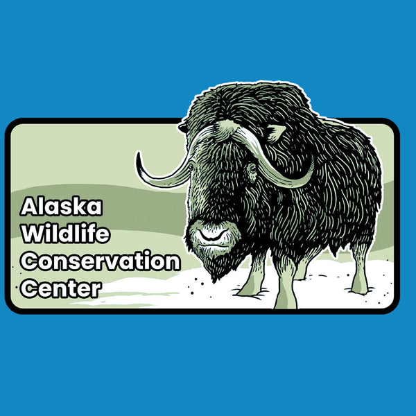 Alaska Wildlife Conservation Center - Youth - Turquoise