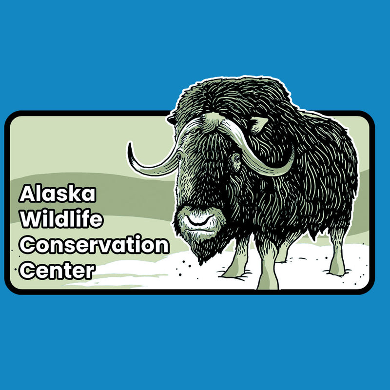Alaska Wildlife Conservation Center - Youth - Turquoise
