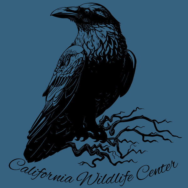 California Wildlife Center - Adult - Blue Jean