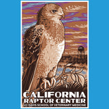 California Raptor Center - Youth - Turquoise