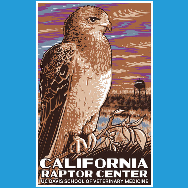California Raptor Center - Youth - Turquoise