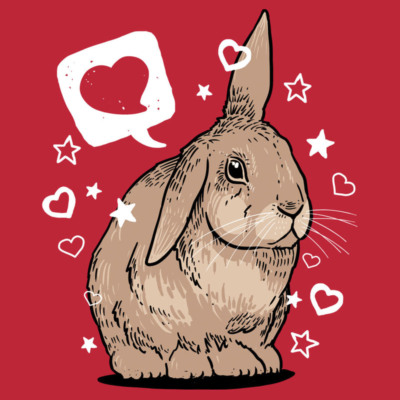 House Rabbit Society - 2025