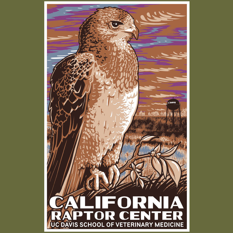 California Raptor Center - 100% ORGANIC Adult - Loden