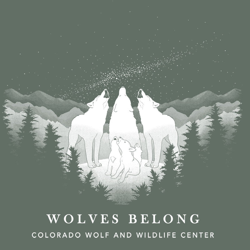 Wolves Matcha Wolves Belong - 100% ORGANIC Adult Allmade® Tee - Matcha Green – FLOAT ...