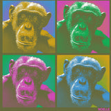 Noelle- 100% ORGANIC Adult - Loden