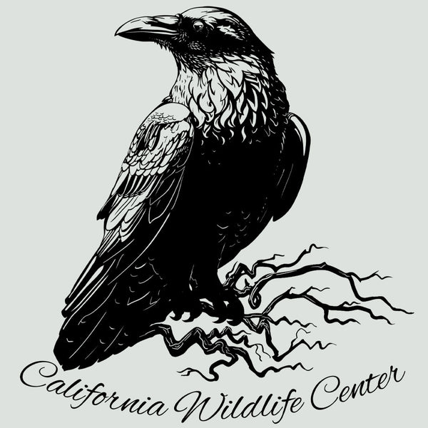 California Wildlife Center - 100% ORGANIC Adult - Antique White