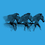 Grevy's Zebra Trust - Youth - Turquoise