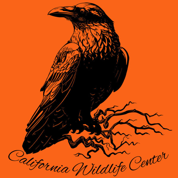 California Wildlife Center - Adult - Classic Orange
