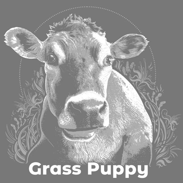 Grass Puppy - 3/4-Sleeve Raglan - Envy Green/Premium Heather