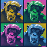 Noelle- 100% ORGANIC Adult - Navy