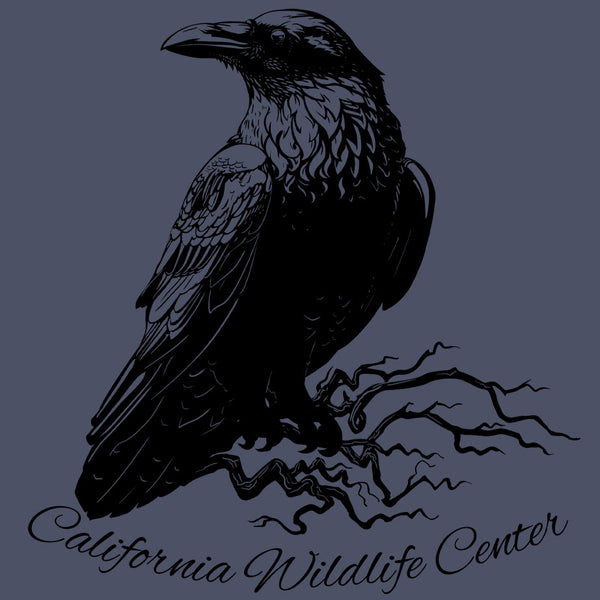 California Wildlife Center - Adult - Indigo