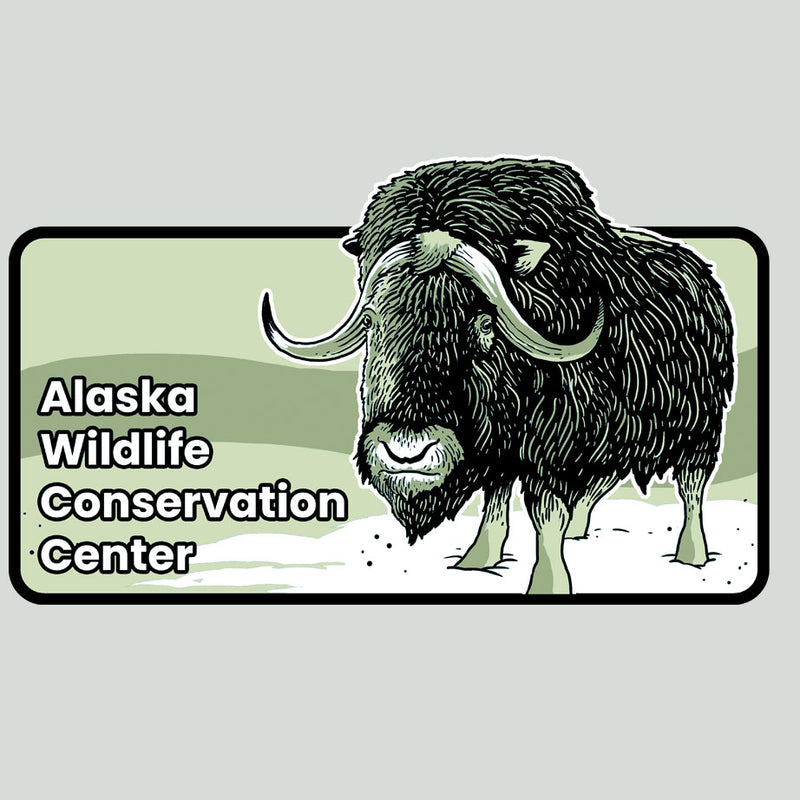 Alaska Wildlife Conservation Center - 100% ORGANIC Adult - Antique White
