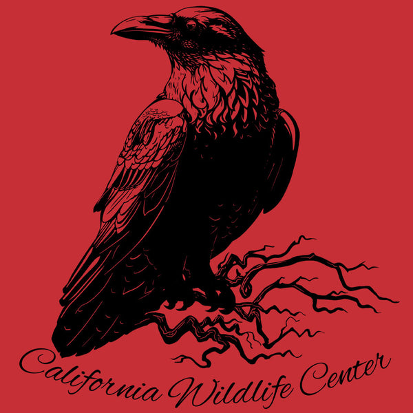 California Wildlife Center - Adult - Red
