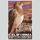 California Raptor Center - 100% ORGANIC Adult - Antique White