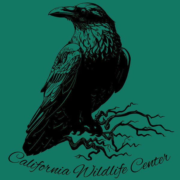California Wildlife Center - Adult - Royal Pine