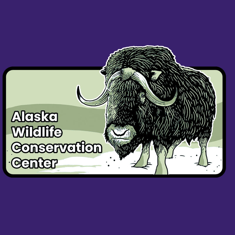 Alaska Wildlife Conservation Center - Adult - Purple Rush