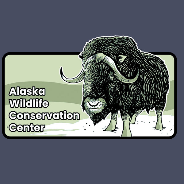 Alaska Wildlife Conservation Center - Adult - Indigo