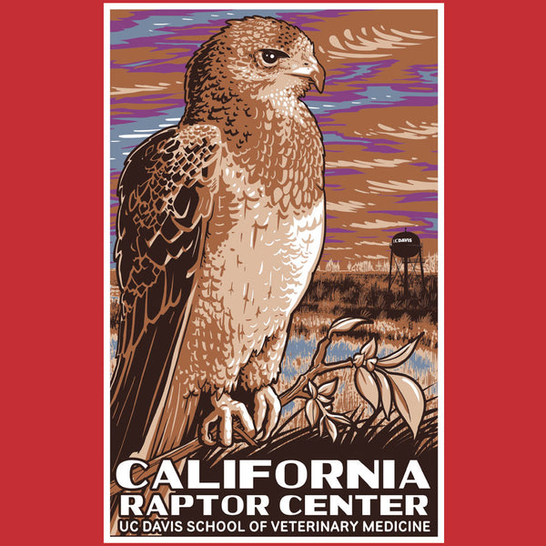 California Raptor Center - Adult - Red