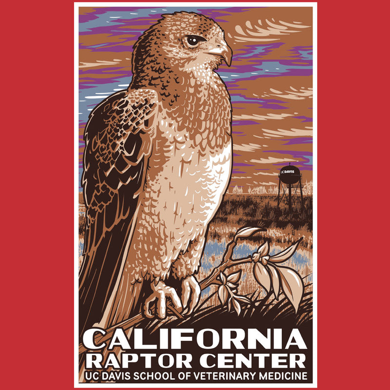 California Raptor Center - Adult - Red