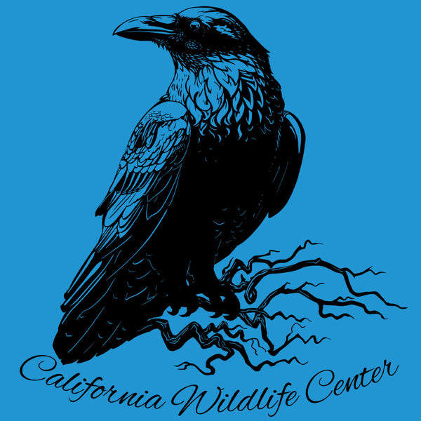 California Wildlife Center - Adult - Turquoise