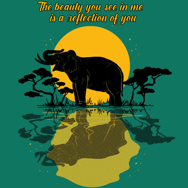 Boon Lott's Elephant Sanctuary - 2025