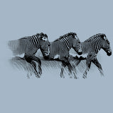 Grevy's Zebra Trust - Adult - Stonewash Denim