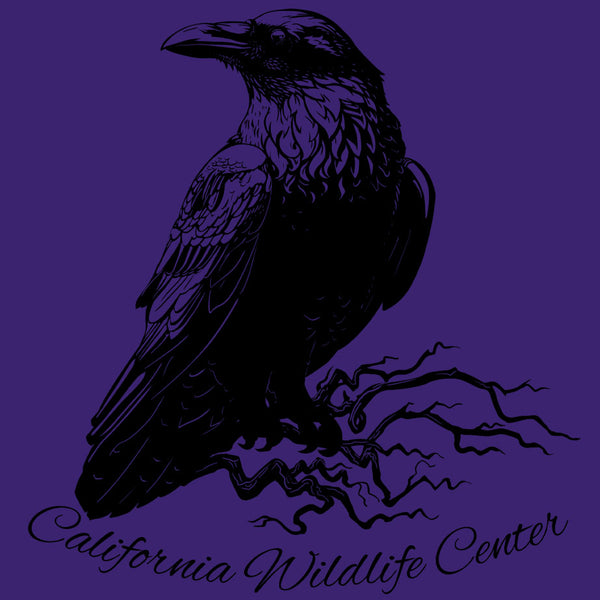 California Wildlife Center - Adult - Purple Rush