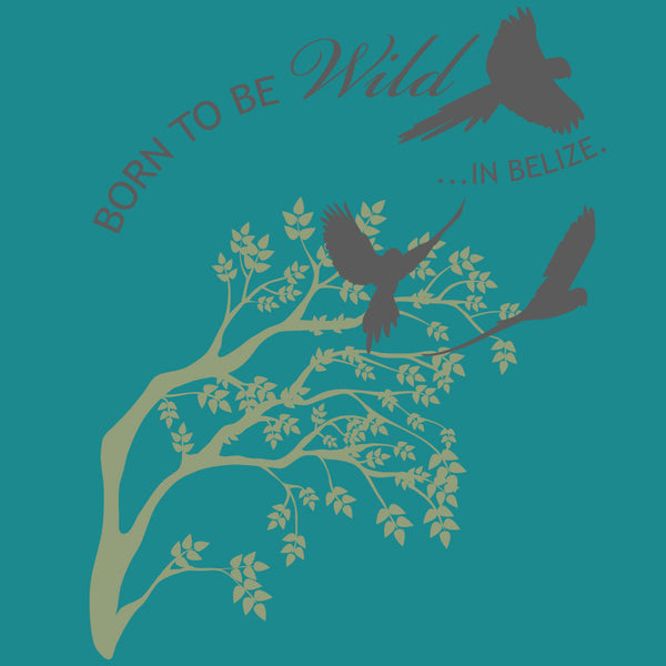 Belize Bird Rescue - Adult - Teal