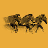 Grevy's Zebra Trust - Adult - Gold