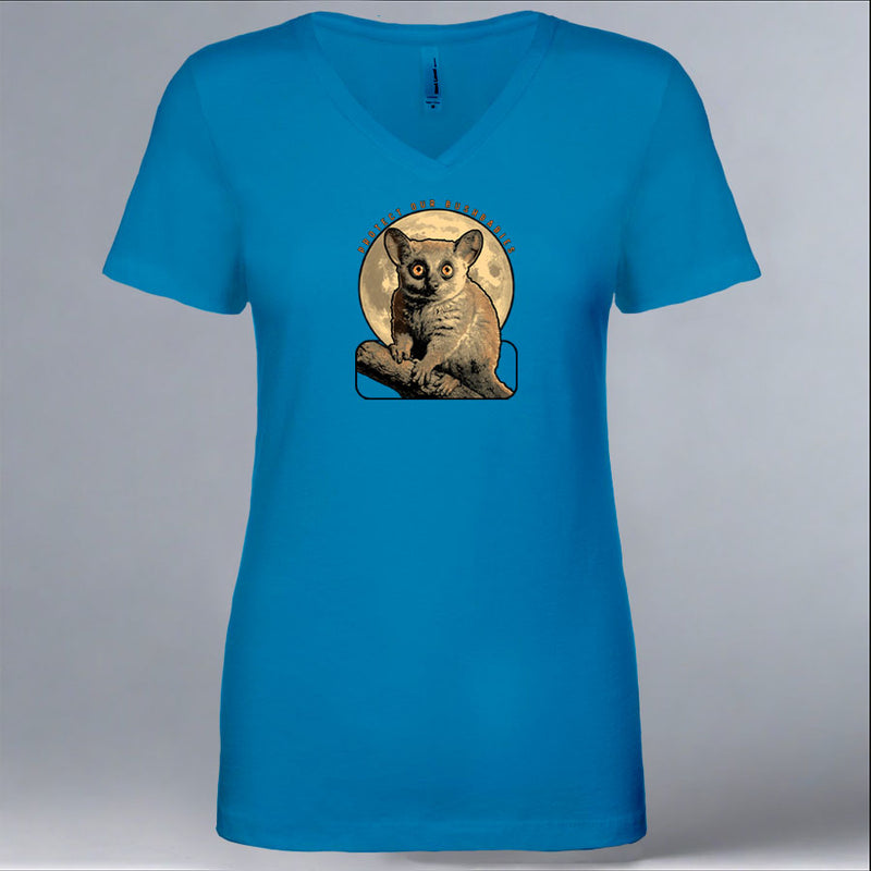 Protect Our Bushbabies - Ladies V-Neck - Turquoise