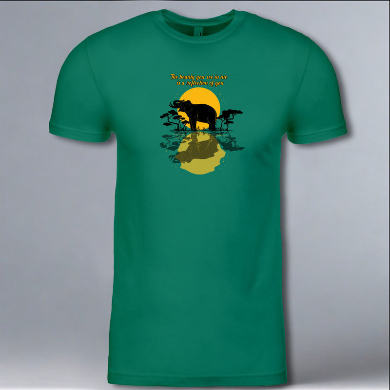 Boon Lott's Elephant Sanctuary - 2025