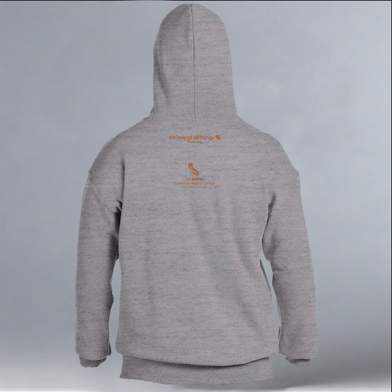 California Raptor Center - Gildan Adult Heavy Blend™ 8 oz., 50/50 Hooded Sweatshirt - Graphite Heather