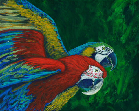 Rainforest Rhapsody - signed limited edition print by Cynthia Sampson